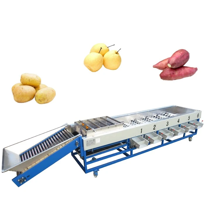 Fruit vegetable sorting machine 3