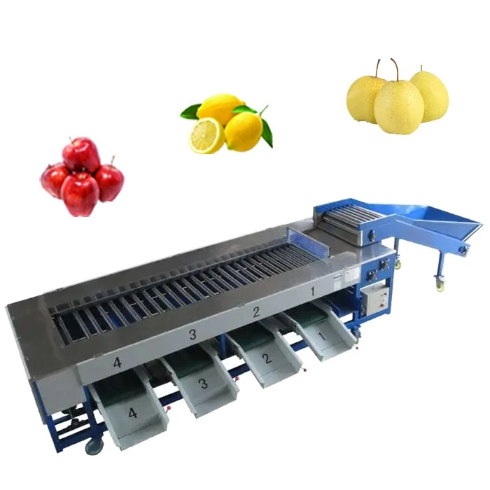 Fruit vegetable sorting machine 1