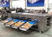 Potatis sorteringsmaskin